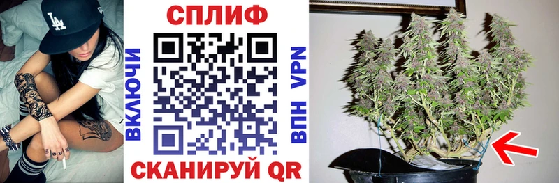 Бошки Шишки тримм  купить  цена  Злынка 